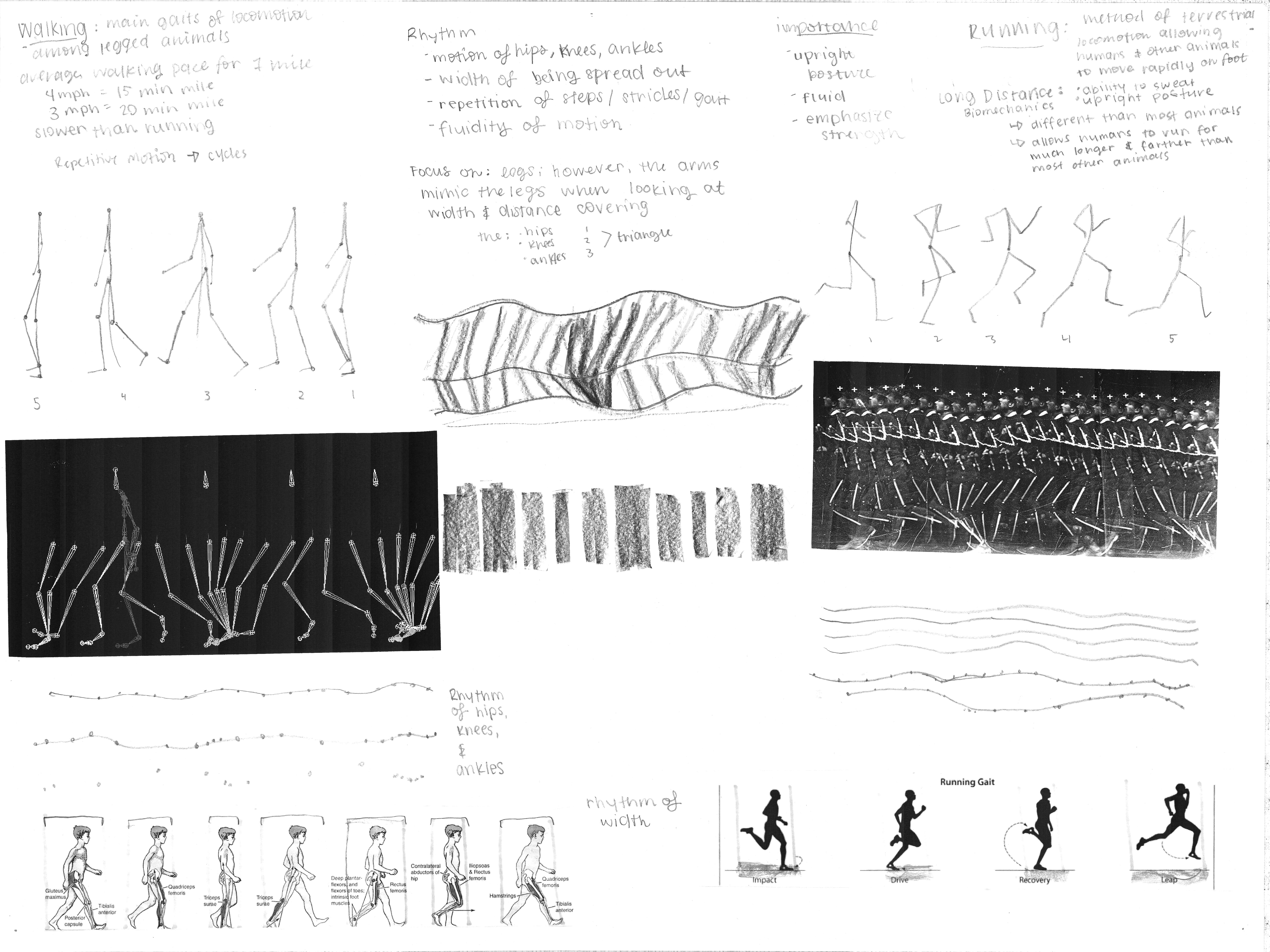 image of student work research drawing by willig